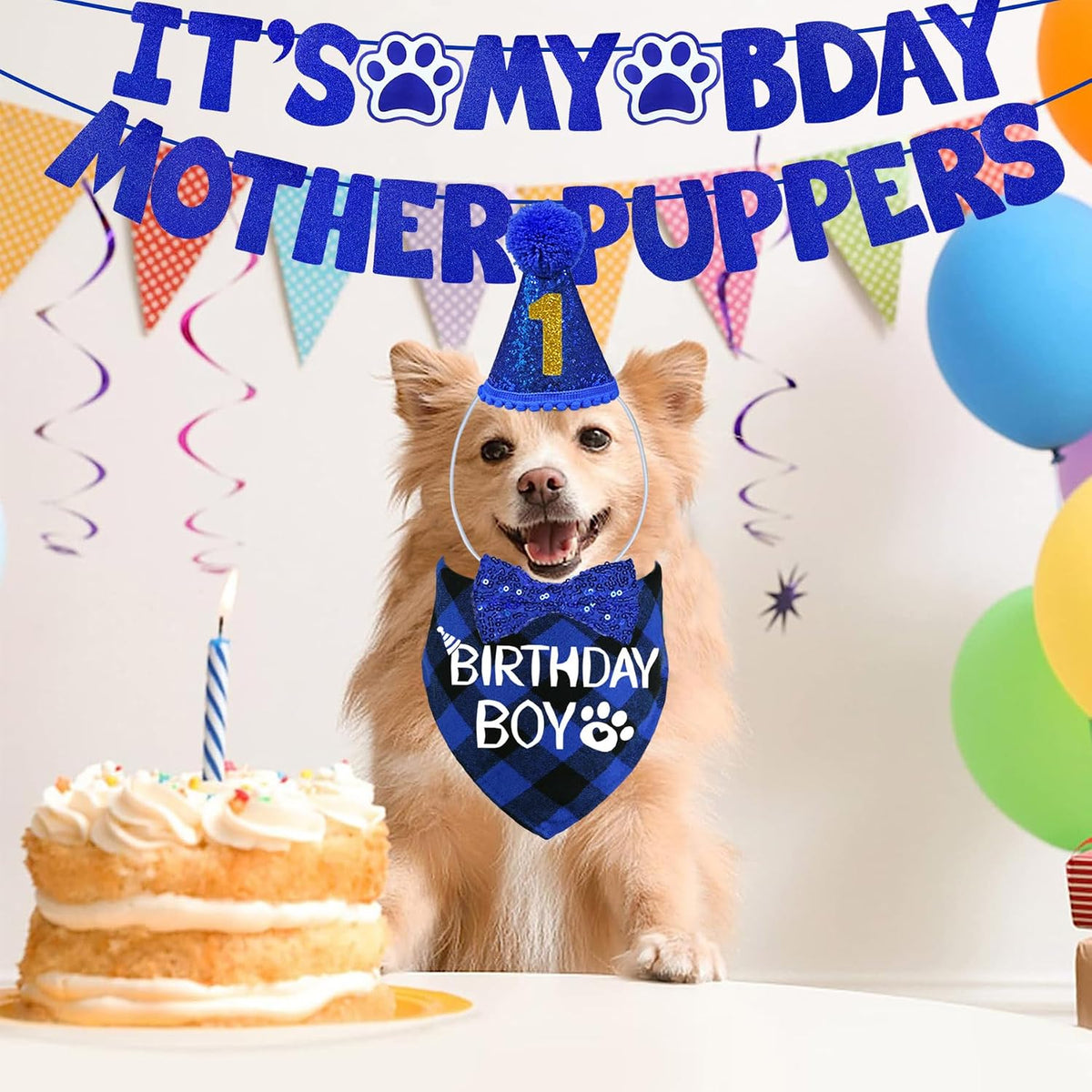 STMK Dog Birthday Decorations - Small / Blue - image 2