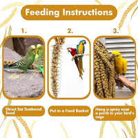 Jmxu's 2LB Spray Millet Treat for Birds Parakeets, Natural Sun-Dried Birds Millet for Cockatiel, Finches, Parrots, Hamster