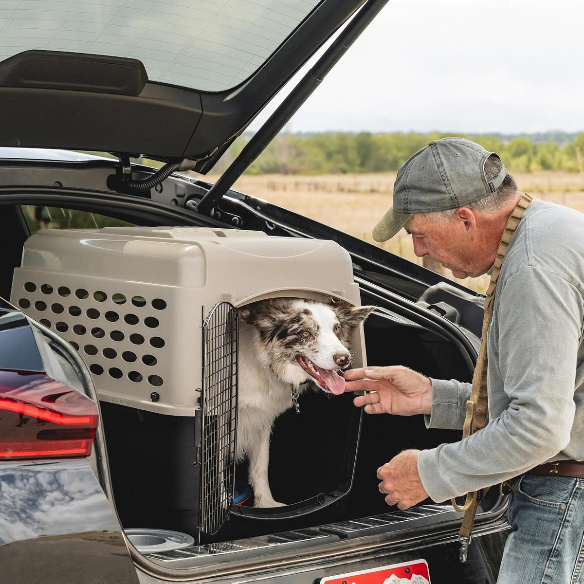 Petmate Vari Dog Kennel, Carrier for Large Dogs, Taupe and Black - 32.0"L x 22.5"W x 24.0"H / Kennel Only - image 4