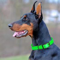 Dogline Biothane Waterproof Dog Collar Strong Coated Nylon Webbing with Black Hardware Odor- Proof for Easy Care Easy to Clean High Performance Fits Small Medium or Large Dogs, Tropical Green