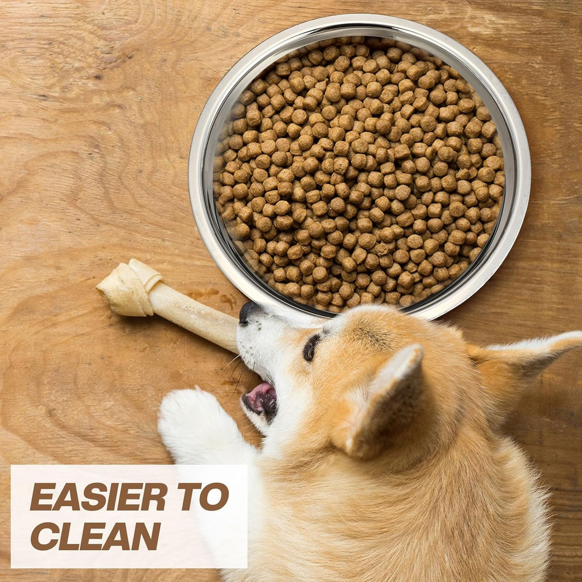 10 Pcs 8 Cup Metal Dog Bowls Stainless Steel Food Dish – Essentials for Dogs - 16 - image 3