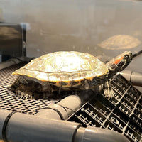 Extra Large Turtle Basking Platform with Artificial Grass – Essentials for Fish - Basking Platform 10.8" W × 7.7" D - image 2