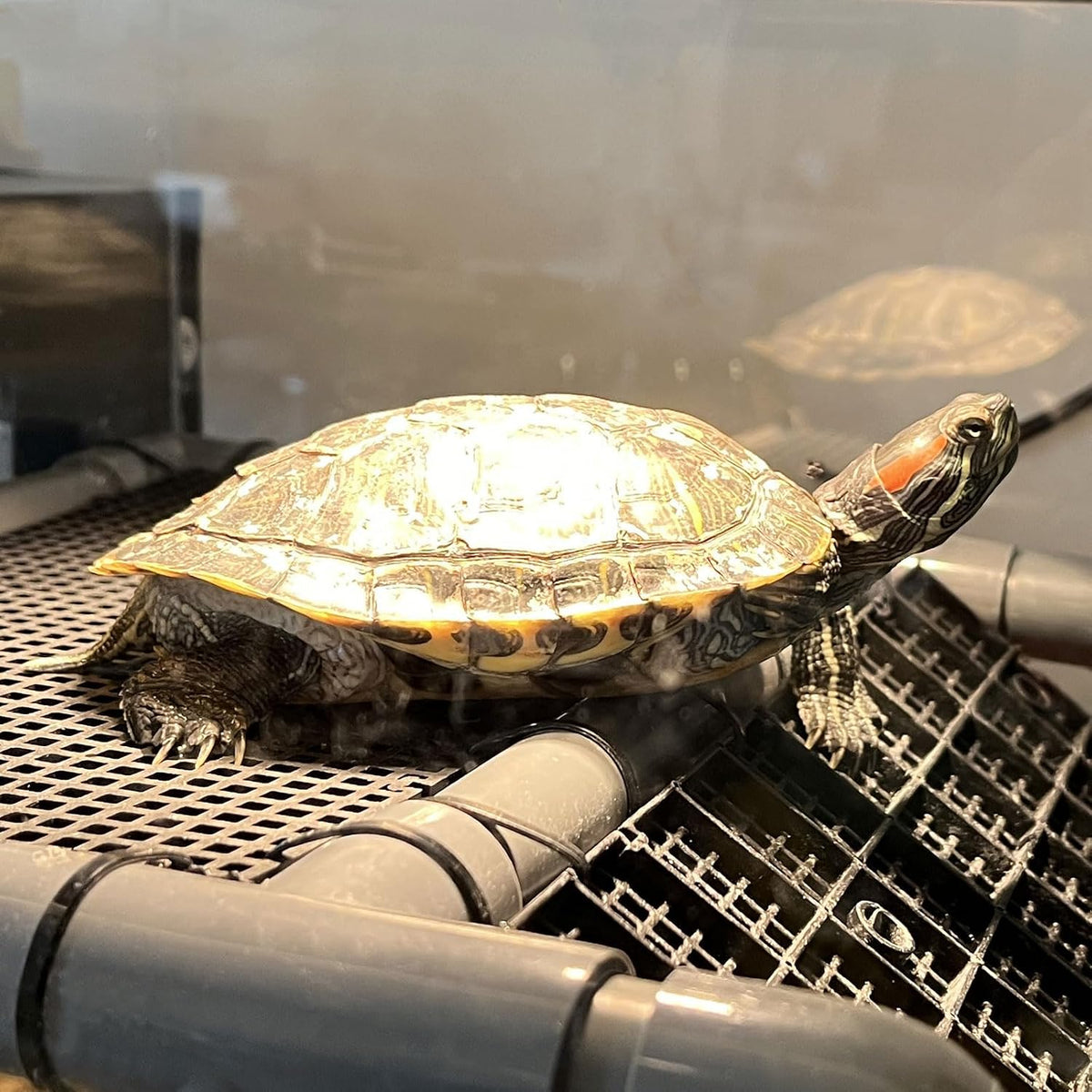 Extra Large Turtle Basking Platform with Artificial Grass – Essentials for Fish - Basking Platform 10.8" W × 7.7" D - image 2