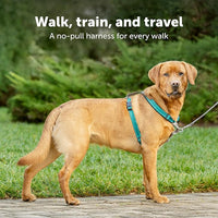 PetSafe 3 in 1 Dog Harness - No Pull Solution for Dogs - Reflective Dog Harness - Front D-Ring Clip Helps Stop Pulling - Comfortable Padded Straps - Top Handle Enhances Control - Black - Medium