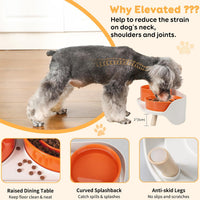 Elevated Slow Feeder Dog Bowls with Splash Proof Stand - Medium / Orange - image 3