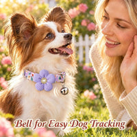 Medium Dog Collar with Flower - Purple / Small: for Small Dog - image 4
