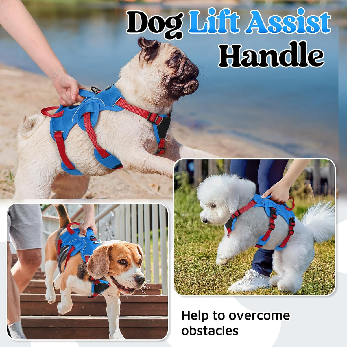 rabbitgoo Escape Proof Dog Harness for Large - Red & Blue / Small - image 3