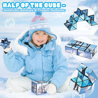 Euclidean Cube Fidget Toys for Kids 2 in 1 Star Cube Magic Cube - Polar Animal - image 3
