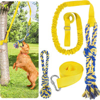 XiaZ Tug of War Dog Toy, Interactive Dogs Toy Bungee Hanging Tether with 2 Chew Rope Toys, Heavy - Yellow