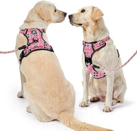 NESTROAD No Pull Dog Harness with Leash, Reflective No Choke Pet Vest Harness,Adjustable Soft Padded Dog Harness with Easy Control Handle for Small Dogs(Checkered Pink,Small)