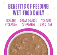 Weruva B.F.F. OMG - Best Feline Friend Oh My Gravy!, Chicken & Duck Dream Team with Chicken & Duck in Gravy, 2.8oz Can (Pack of 12)