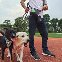 Dog Cat Harness and Leash Set - Avocado / XS (Neck 9"-11"; Chest 11"-13") - image 2