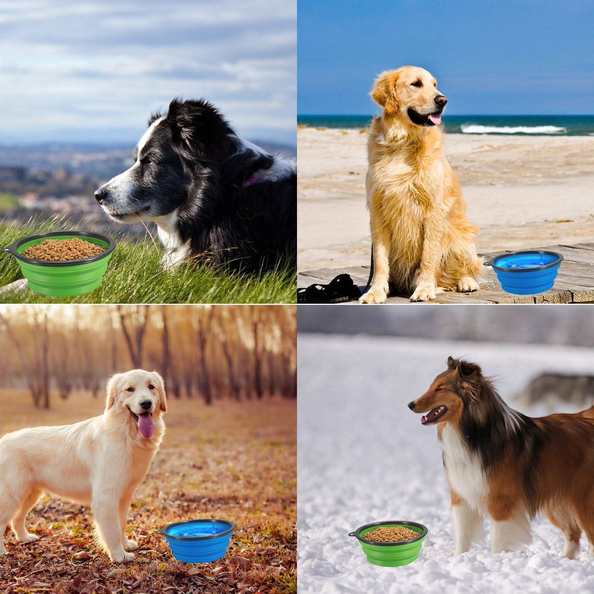2-Pack Extra Large Size Collapsible Dog Bowl - Large / Blue and Green - image 4