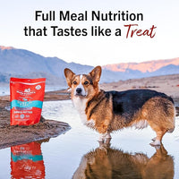 Stella & Chewy's Freeze-Dried Raw Dinner Patties - Surf 'N Turf Salmon & Beef Recipe - High Protein Grain-Free Puppy & Dog Food - Perfect For Picky Eaters - 14 oz