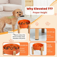 Elevated Slow Feeder Dog Bowl - Orange / 1.5 Cups - image 4