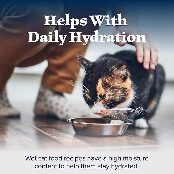 Blue Buffalo Wilderness Natural High-Protein Grain-Free Wet Food for Adult Cats, Salmon Paté, 3-oz. Cans, 24 Count