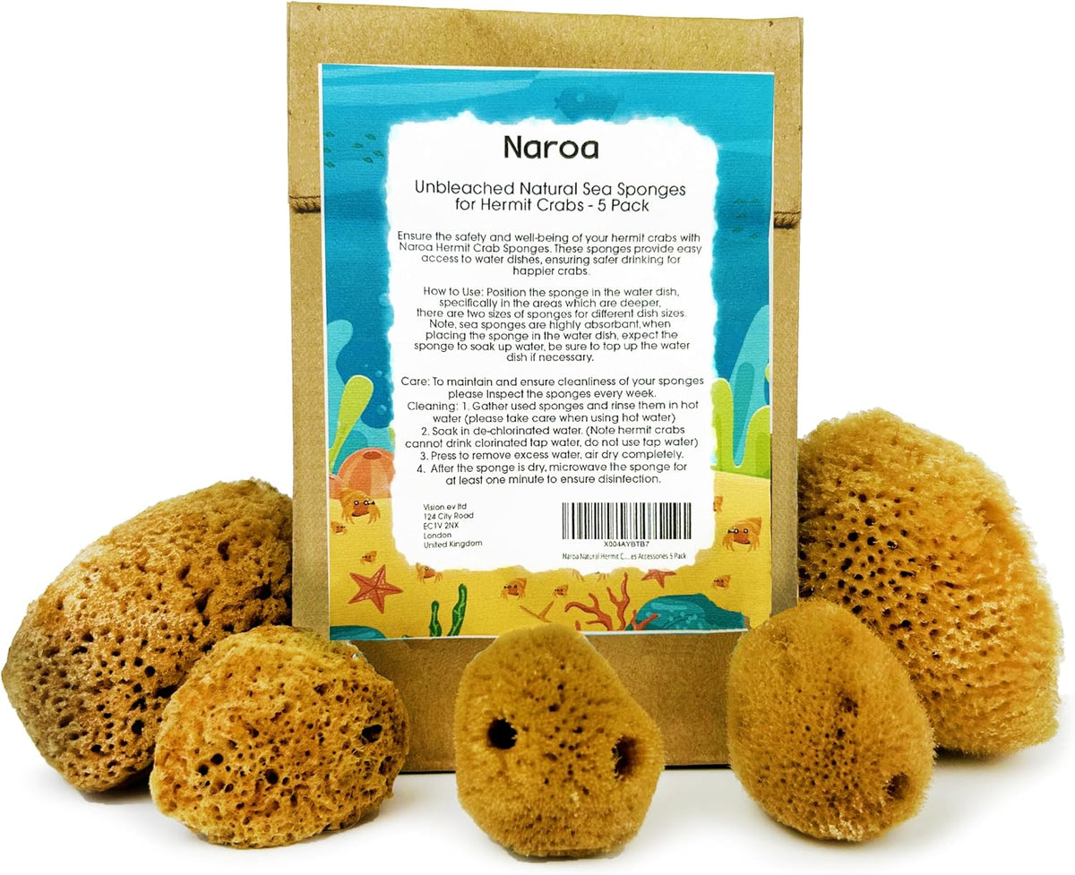 Naroa pack of 5 natural unbleached hermit crab sea sponges