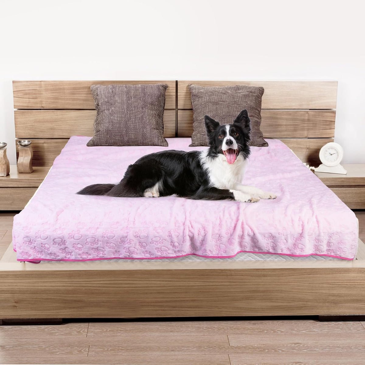 Stuffed Premium Soft Dog Blanket Washable - Pink / XL(66x82") - image 2