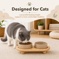 Cat Bowls Set of Two, 5.1” Ceramic Cat Food Bowls - Greige / 2 Bowls+Tray - 5.1" - image 3
