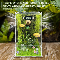 Jumping Spider Enclosure, DIY Insects Habitat - Forest - image 4