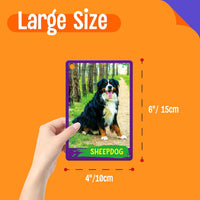 SpriteGru Spanish flashcards for toddlers with colorful cartoon images on rings - view 29