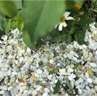 3lb Cactus Pea Gravel Rocks - 18LB / Light Green - image 3