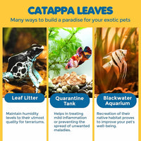 SunGrow pack of 50 mini catappa Indian almond leaves for betta aquariums - view 4
