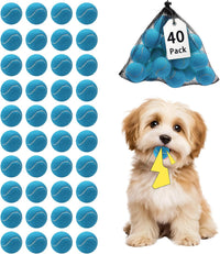 Magicorange 10 Pack Squeaky Mini Tennis Balls - 40 Pack / Blue