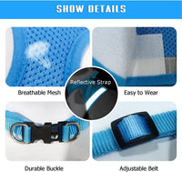FEimaX Dog Harness and Leash Set for Walking - Azure / X-Small - image 3