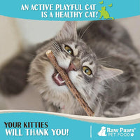 Raw Paws Silvervine Sticks for Cats (30 Pack) - Silvervine Cat Toy for Indoor Cats - Catnip Sticks - Silver Vine Cat Chew Stick