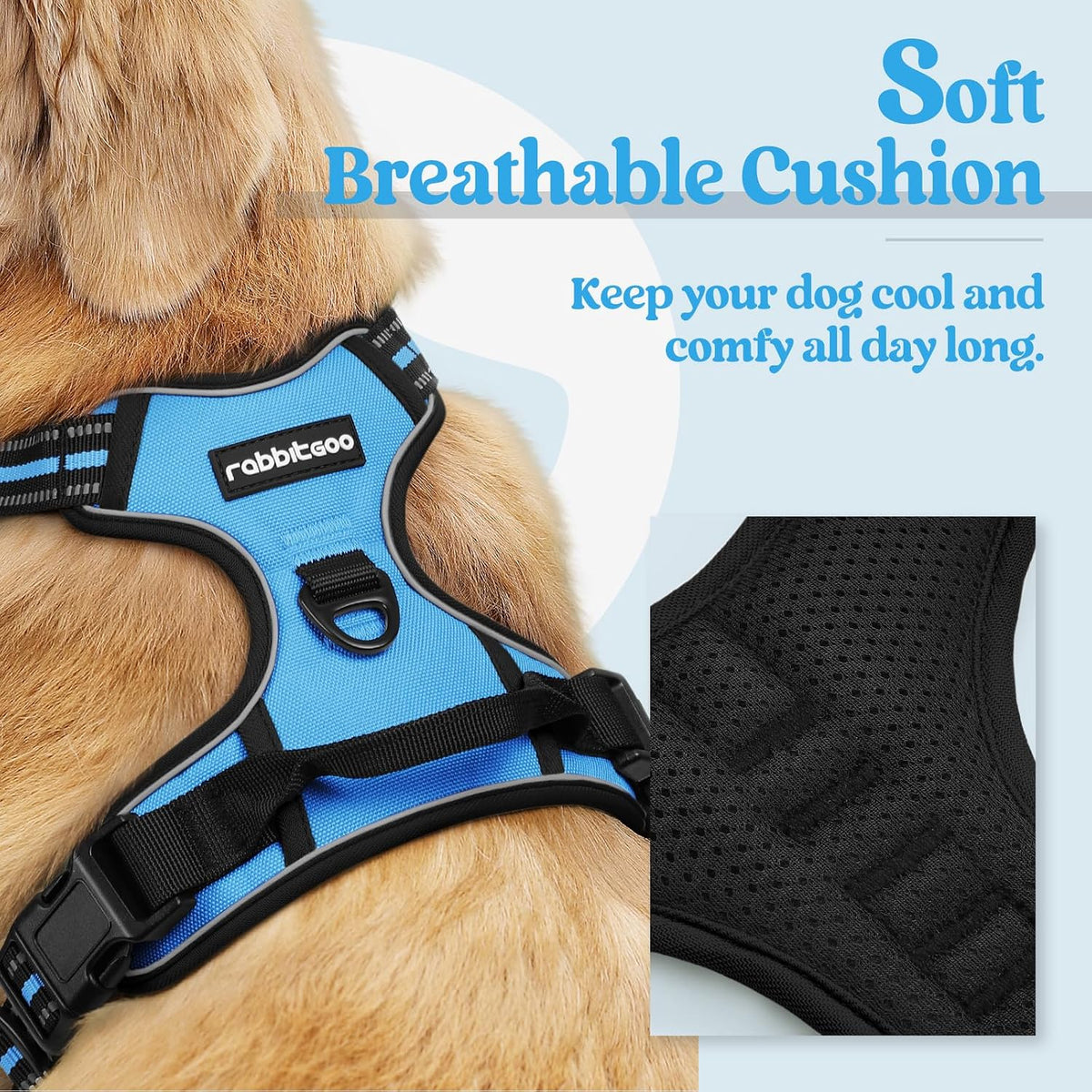 rabbitgoo Dog Harness, No Pull for Large Dogs with 2 Leash Clips - Small / Blue - image 2