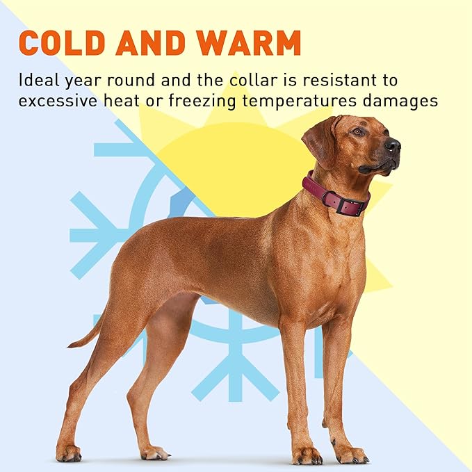 Dogline Biothane Waterproof Dog Collar Strong Coated Nylon Webbing with Black Hardware Odor- Proof for Easy Care Easy to Clean High Performance Fits Small Medium or Large Dogs, Merlot Burgundy
