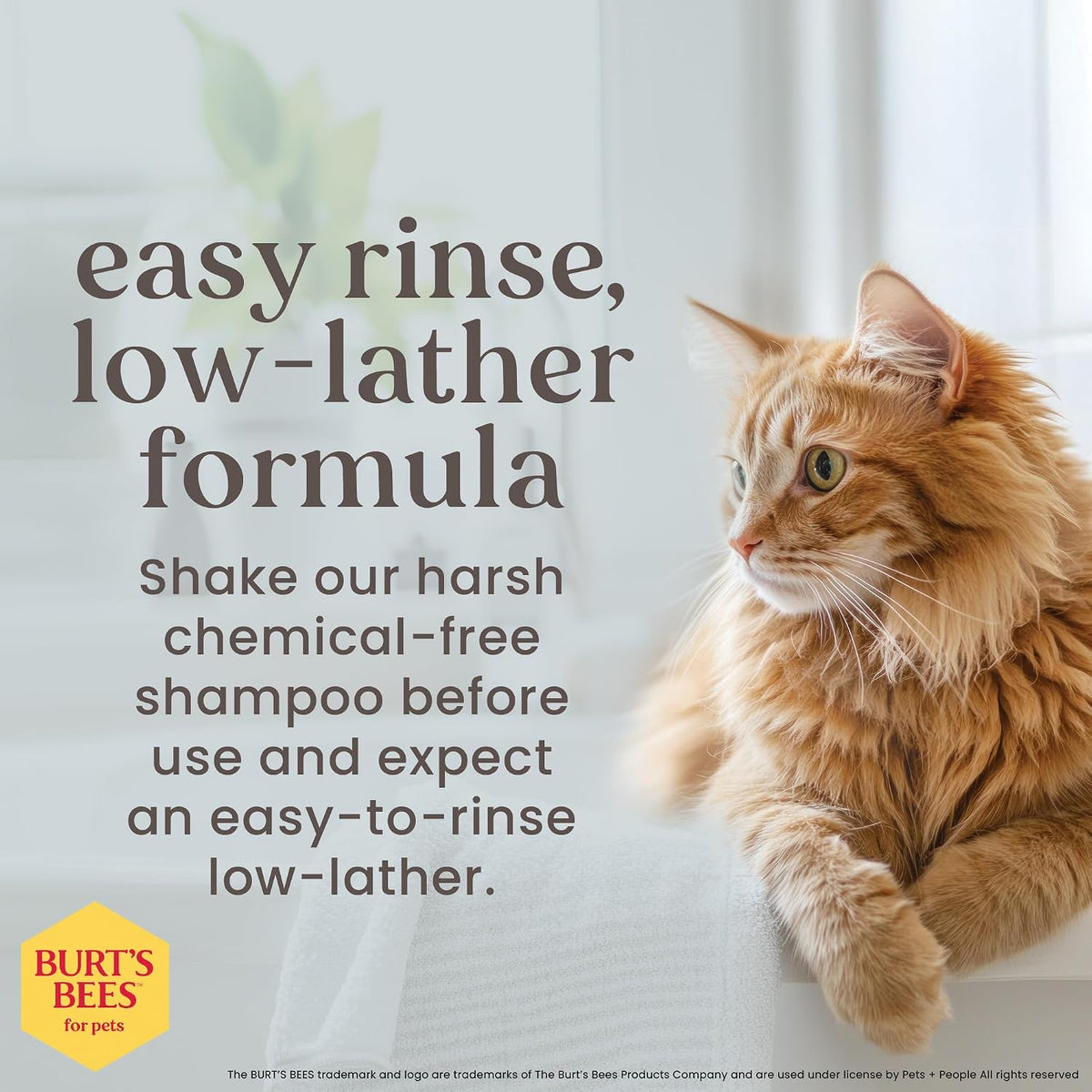 Burts Bees for Pets Hypoallergenic Cat Shampoo, Unscented - 10 Fl Oz - 1 Pack - image 3
