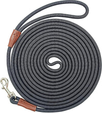 WYuZe 5ft Puppy Leash for Small Dogs Cats - Black / 16 FT (3~26 lbs)
