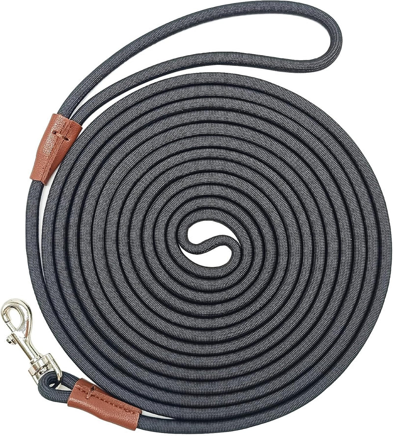 WYuZe 5ft Puppy Leash for Small Dogs Cats - Black / 16 FT (3~26 lbs)