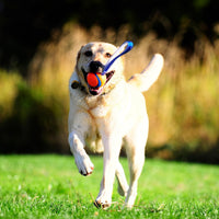 Chuckit! Ultra Tug Dog Toy - Medium / Ultra Tug - image 2