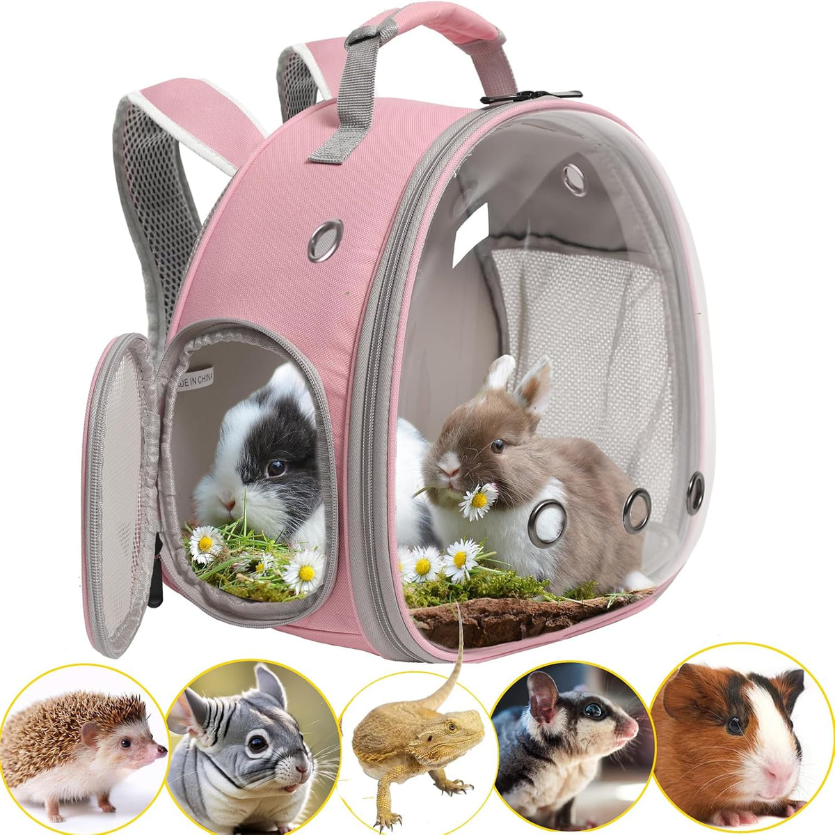 Bearded Dragon Travel Carrier, Lizards Carrier - Pink / Backpack