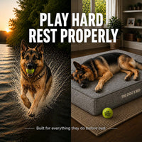 The Dog’s Bed Orthopedic Memory Foam Dog Bed - Grey Linen / XL Beds (6" deep) - image 2