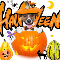 Talltalk 360 Pcs Halloween Dog Bow Ties Collars Set Adjustable Thanksgiving Christmas Fall Xmas Dogs Neckties Grooming Accessories for Small Medium Large Pet Cat Decoration(Pumpkin)
