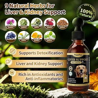 Milk Thistle for Dogs – 9-in-1 Liver and Kidney Support Drops with Artichoke, Resveratrol, Marigold Extract, 100% Natural Detox Supplement for Liver Function, Split Dropper, Chicken Flavor, 2Oz