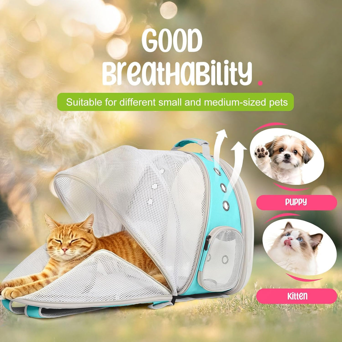 Dual Expandable Large Cat Backpack Carrier – Essentials for Cats - Green / Clear Window - image 4