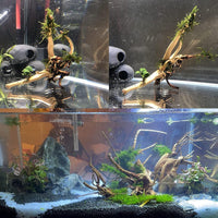 Aquarium Driftwood Reptile Branches Wood Natural Spiderwood Driftwood - 5 Pcs - image 3