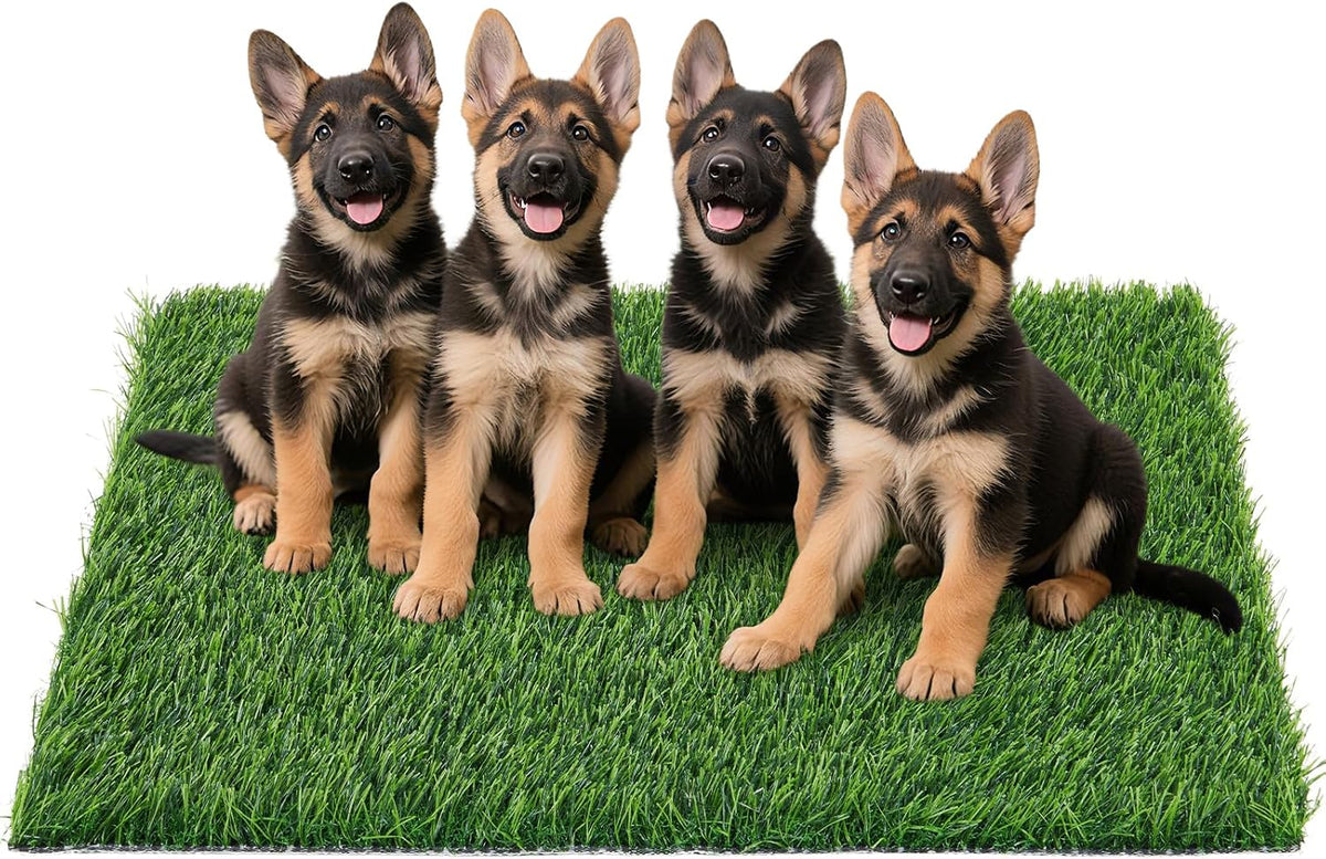 Replacement Artificial Grass Pee Pads for Dogs Potty Training to Pee - XXXL-45.2"x27.5"