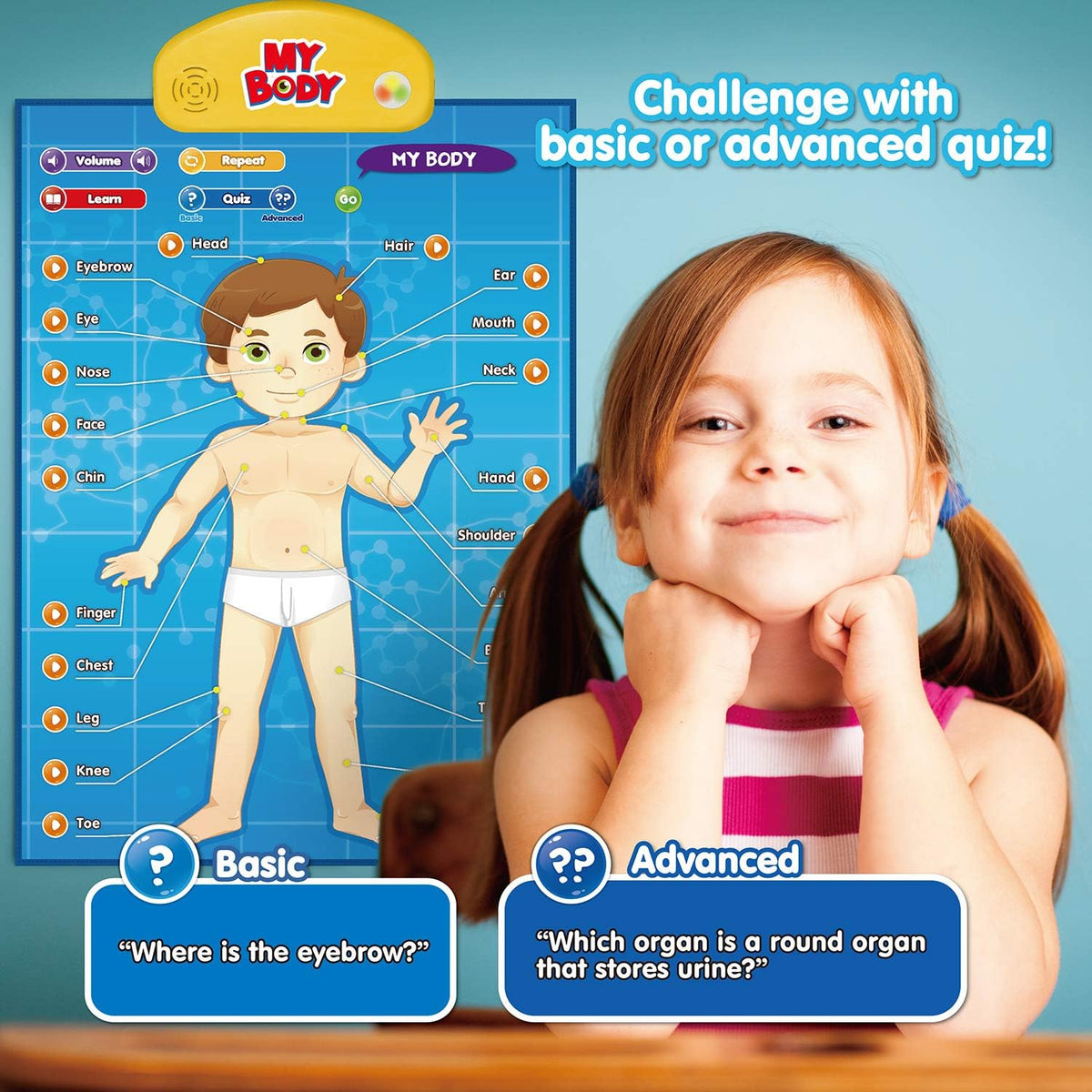 BEST LEARNING i-Poster My USA - My Body - image 4