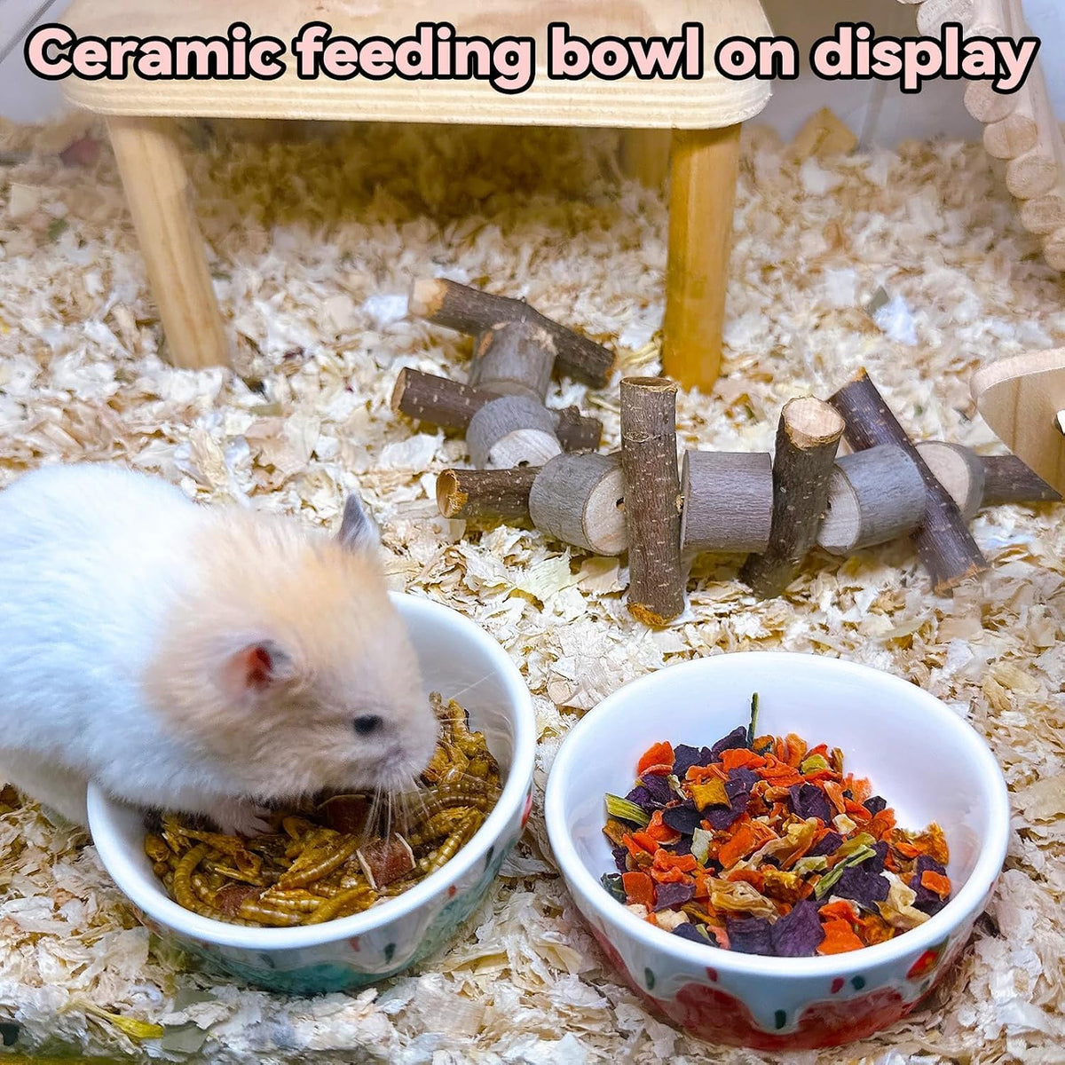2 Pack Ceramic Guinea Pig Food Bowl Hamster Food Bowls for Gerbil Rat – Essentials for Small Pets - Red + Blue - image 3