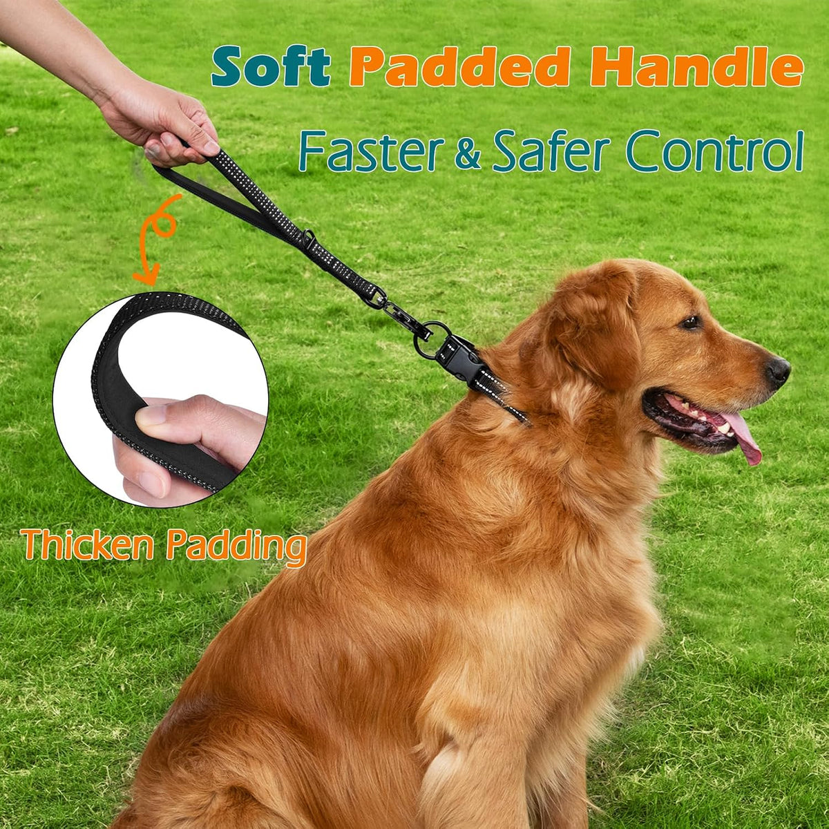Heavy Duty Short Dog Leash - Black / 12 Inch - image 3