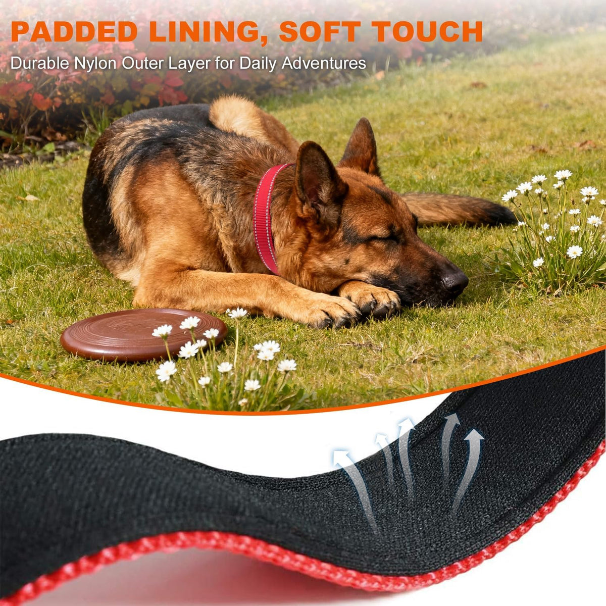 Taglory Reflective Large Dog Collar - Red / Large (Pack of 1) - image 3