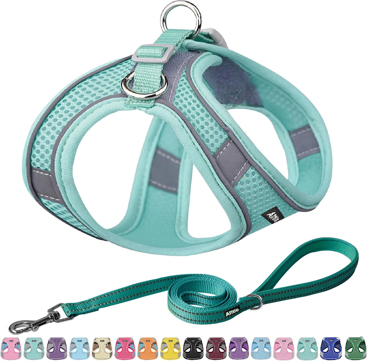 AIITLE Small Dog Harness and Leash Set, Step-in Puppy Pet Vest - XL(Chest: 19.5 - 23.5") / Pure Turquoise