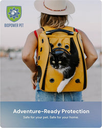 Natural Flea & Tick Repellent Collar Tag for Dogs & Cats – BioPower Pet Shield – Safe for Pets When Used as Directed – Lasts 1 Full Year - Small Tag (<10 Lbs)