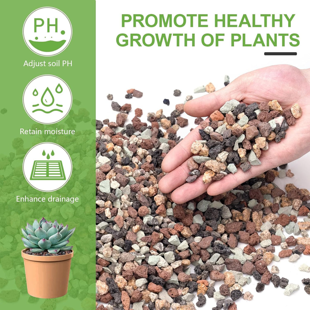 2.5 lbs Coarse Sand for Plants, Desert Silica Sand for Cactus - 2.5 Pounds / Multi - image 3